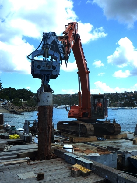 sentinel pile removal recovery